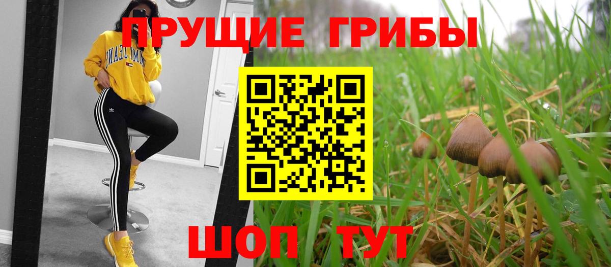 Гатчина  Галлюциногенные грибы MAGIC MUSHROOMS  Вход с VPN 