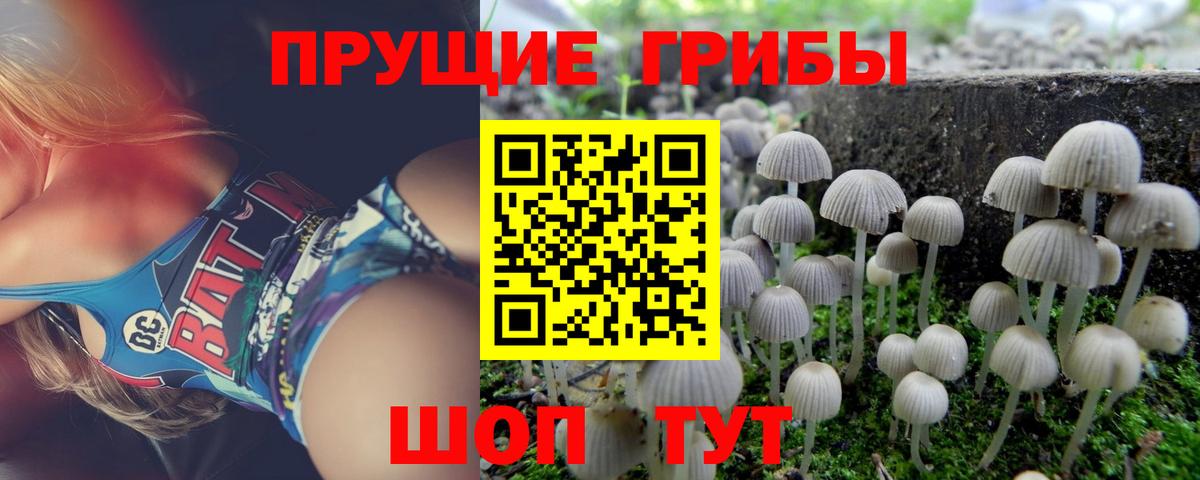 КОКАИН  Вход с VPN  Гашиш  Гатчина  Гашиш  Alpha-PVP СК кристаллы  МАРИХУАНА  Мефедрон  